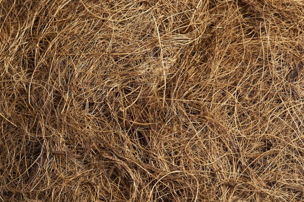 Coconut coir